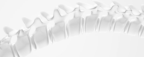 Artificial Spine