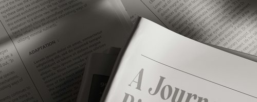Medienspiegel